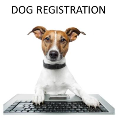 Dog Registration